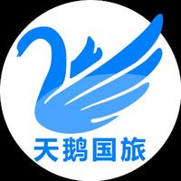 天鹅国际旅行社头像