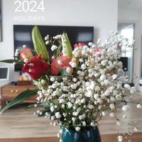 欧阳读书吧头像