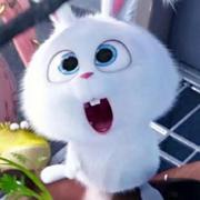 逆风流浪的个人资料头像