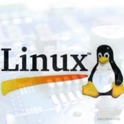 Linux炉边会的个人资料头像