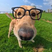 几寸灰的个人资料头像