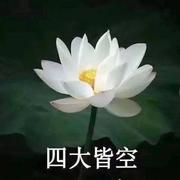 爆炸世界的小星星的个人资料头像