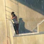 lanergg的个人资料头像