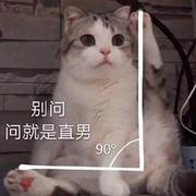 Yzmx的个人资料头像