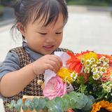 智慧阿尔瓦7Yl头像
