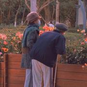 小尚尚尚尚的个人资料头像