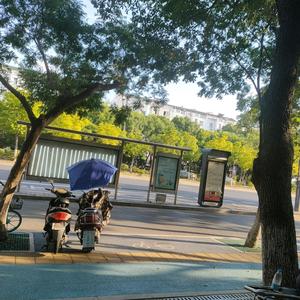 自由帆船Rc头像