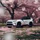 终极鱿鱼007 · RAV4荣放PHEV车主·车龄1年头像