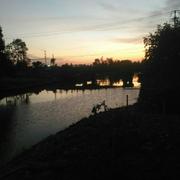 平安喜乐660的个人资料头像