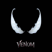 陈皮白茶的个人资料头像