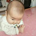 才高八斗生活家zw头像