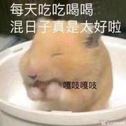 颜迪的个人资料头像