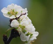 照见自我的个人资料头像