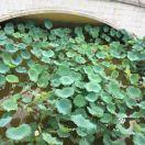 Abredo的个人资料头像