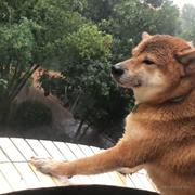 小白1213579321的个人资料头像