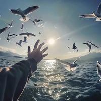 潮洲市最后一个老实人头像