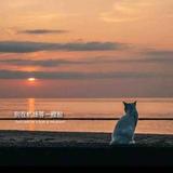 拾荒的流浪人头像