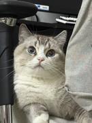 钟某的个人资料头像