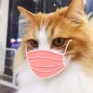 Sakura本尊101988的个人资料头像