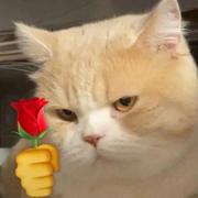 harveyjing的个人资料头像