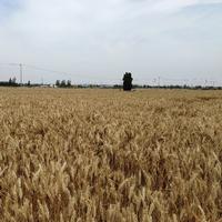 用户5895485140899头像