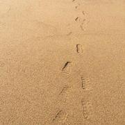 光光796的个人资料头像