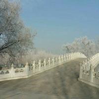 冯守辉242头像
