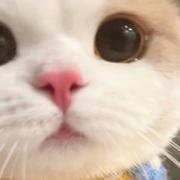 葵_的个人资料头像