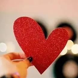 智导汽车君头像