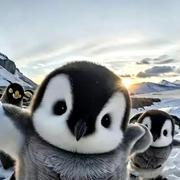 喂喂你还好吗的个人资料头像