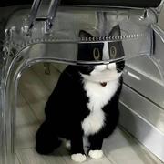 合理饮食的个人资料头像