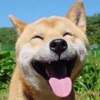 用户276112056215头像