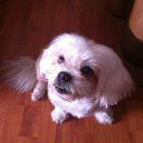 陌路夜未央的个人资料头像