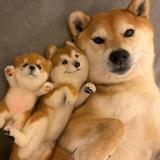 萌萌宇YY头像