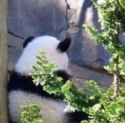 JOKEr1474237698000的个人资料头像