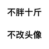 认真武安6l1头像