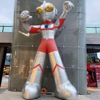 丰田只会坑中国消费者头像