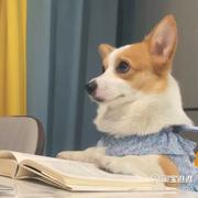 小王进阶版的个人资料头像