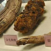 一只穿云箭al头像