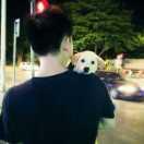 超贤的个人资料头像