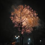 认真的风声A6头像