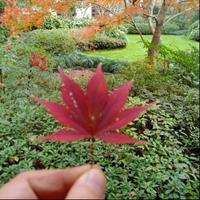 lucky小赛哥头像