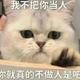 是牟同学头像