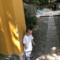 开零跑的哈哈哥头像