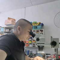 圣华数码头像