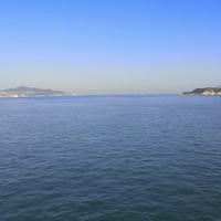 淡淡bean头像