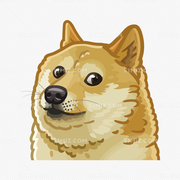 gensko的个人资料头像