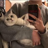 贩卖黄昏883头像