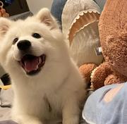 耶耶不耶耶的个人资料头像