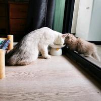 五一与七月头像